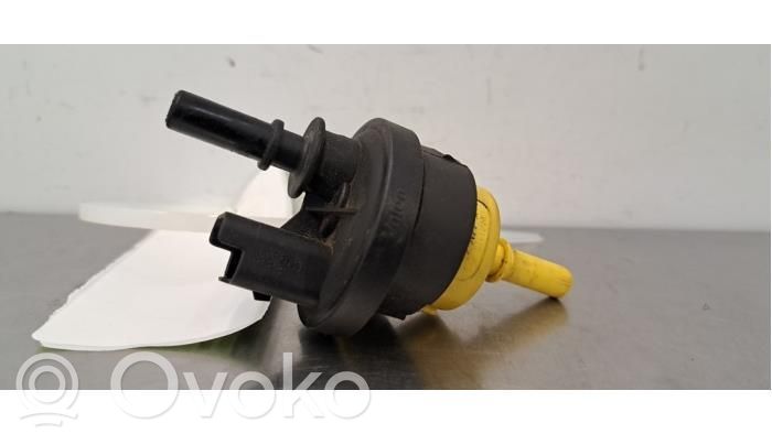 Renault Express Vacuum valve 