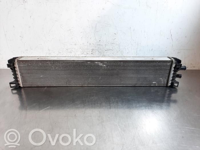 Audi A4 S4 B9 8W Radiateur de refroidissement 