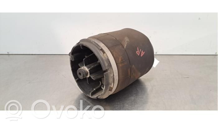 Land Rover Range Rover Sport L494 Butelie suspensie pneumatică 