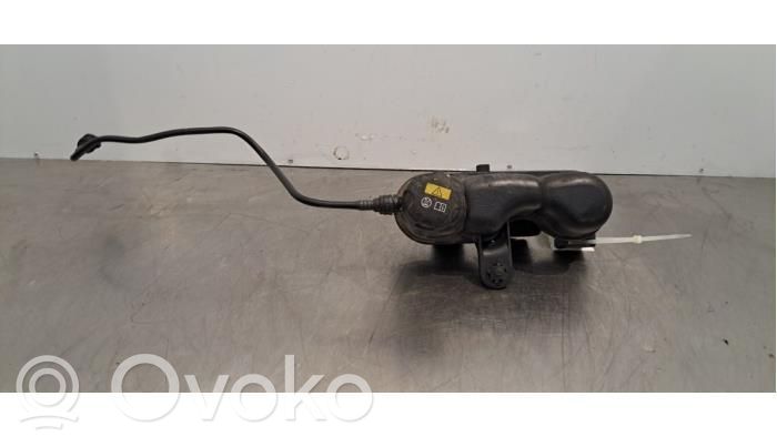 Mini Cooper Countryman F60 Serbatoio di compensazione del liquido refrigerante/vaschetta