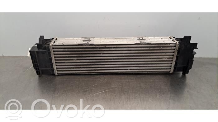 BMW 3 G20 G21 Chłodnica powietrza doładowującego / Intercooler 