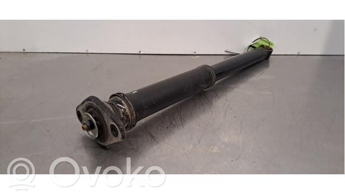 Amortizor spate   10924058