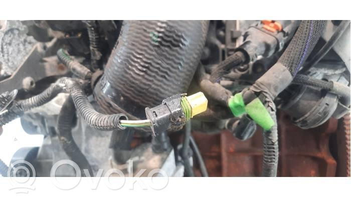 Citroen Jumper Motor 