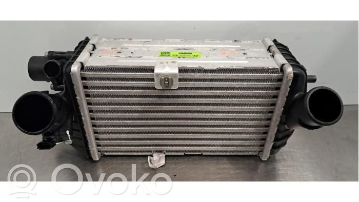 Intercooler radiator   2827007300