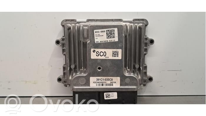 Engine control unit/module   391C303SC0