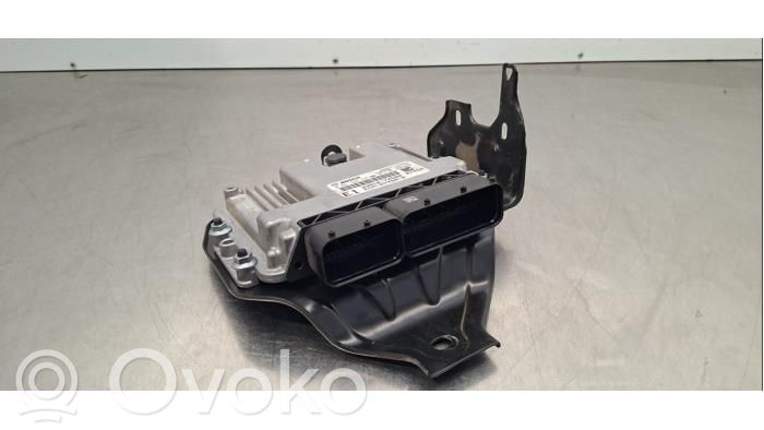 Engine control unit/module   3391074S00