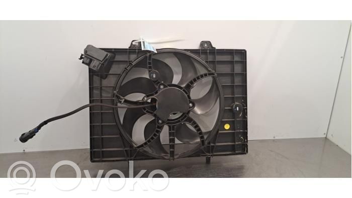 Citroen e-C3 Fan set 