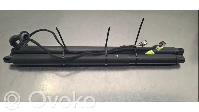 Tailgate/trunk strut/damper