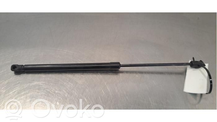 Tailgate strut   10320209