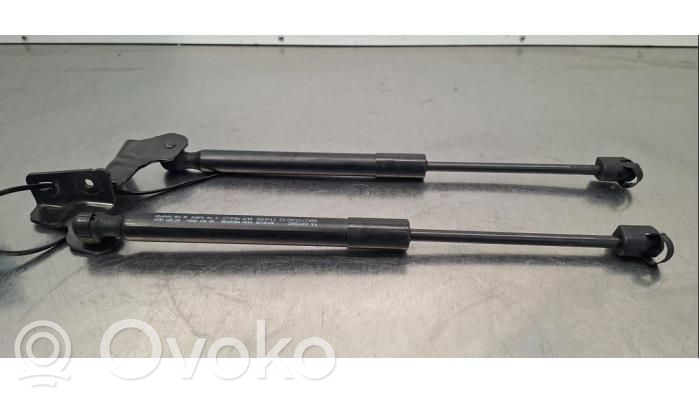 Citroen e-C3 Tailgate/trunk strut/damper 
