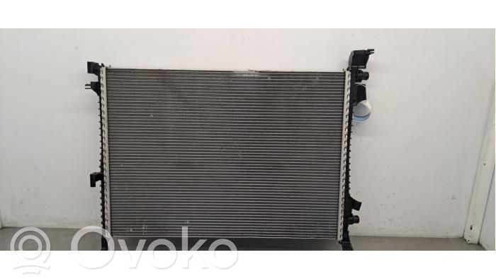BMW XM Dzesēšanas šķidruma radiators 