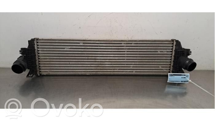 Ford Focus Intercooler radiator 