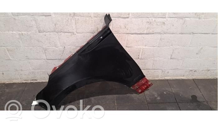 Guardabarro   J8A216006AA,LR091699