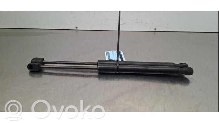 Citroen e-C3 Tailgate/trunk strut/damper 
