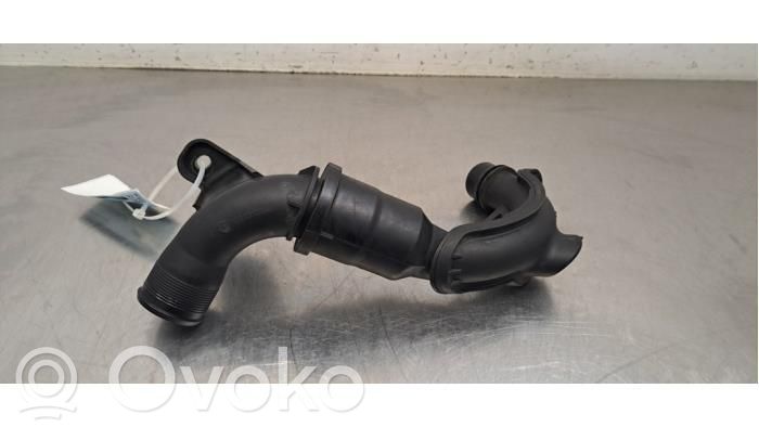 Ford Focus Šļūtene (-es) / caurule (-es) 