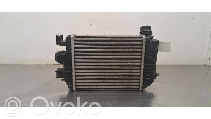 Renault Arkana Interkūlerio radiatorius 