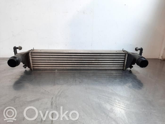 Intercooler radiator   51966750