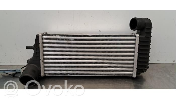 Ford Tourneo Starpdzesētāja radiators 