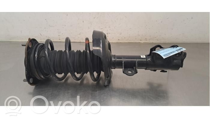 Stoßdämpfer vorne   4852002M60