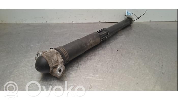 Volkswagen Tiguan Amortizor spate 