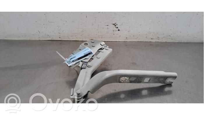 Volkswagen Tiguan Zawiasy pokrywy / maski silnika 
