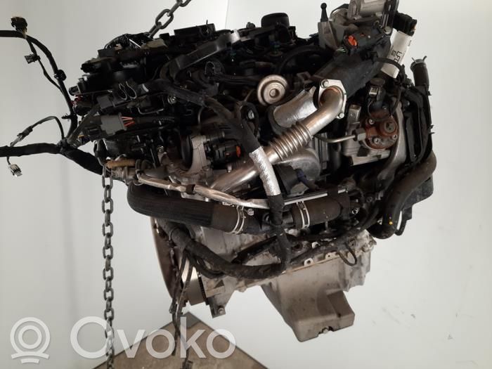 Ford Transit Courier Engine 