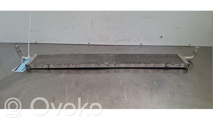 Renault Trafic III (X82) Oil filter mounting bracket 