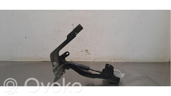 Citroen DS7 Crossback Balamale capotă 