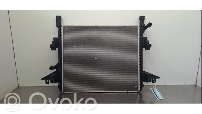 Radiatore di raffreddamento   1EA121251B