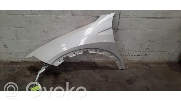 Citroen C5 X Guardabarro 