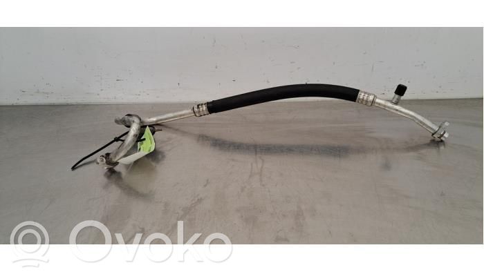 Ilmastointilaitteen putki (A/C)   924548982R