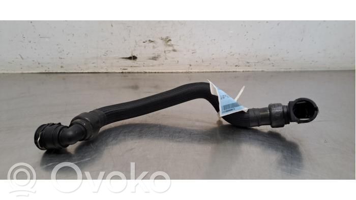 Citroen Berlingo Przewód / Wąż chłodnicy 