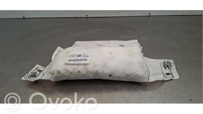Kopfairbag   9818750980,9818750980XX