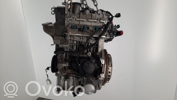 Engine   04C100034B,04C100098C