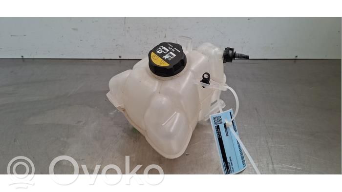 Volvo XC60 Vas expansiune/rezervor lichid de răcire 