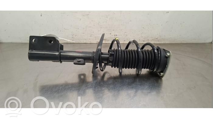 Stoßdämpfer vorne   9852218480