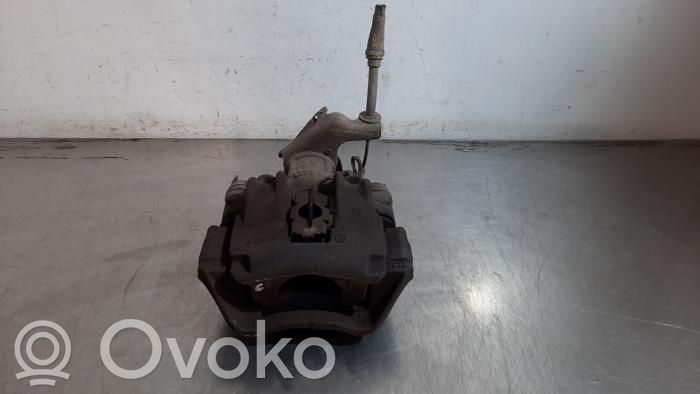 Takajarrusatula   BK212553AB