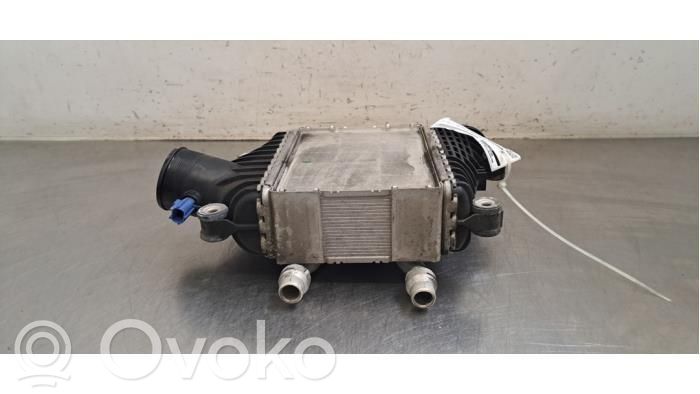 Jaguar F-Pace Radiatore intercooler