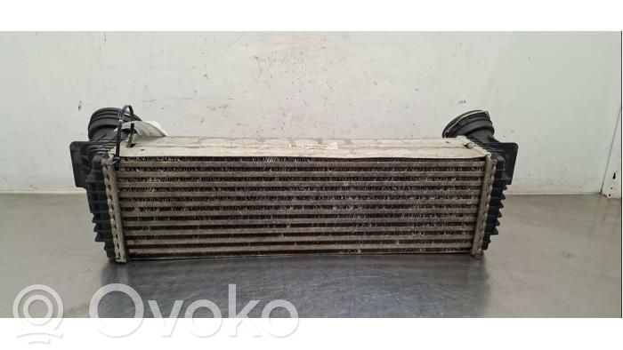 Intercooler radiator   17517809321,7809321
