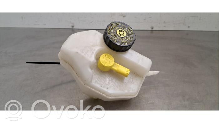 BMW X3 G01 Vas expansiune/rezervor lichid de răcire 