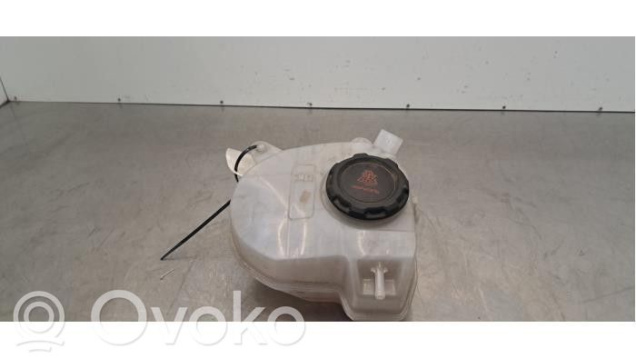 Volkswagen Golf VIII Vas expansiune/rezervor lichid de răcire 