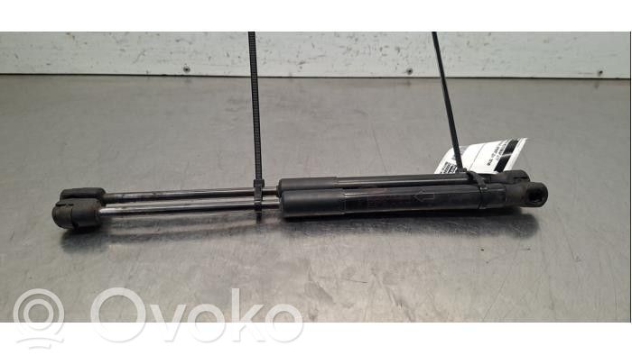 Land Rover Range Rover Sport L494 Ammortizzatore portellone anteriore/cofano 