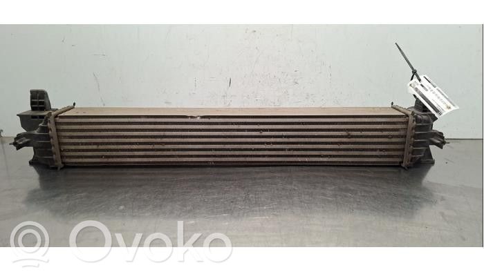 Citroen Jumper Radiatore intercooler