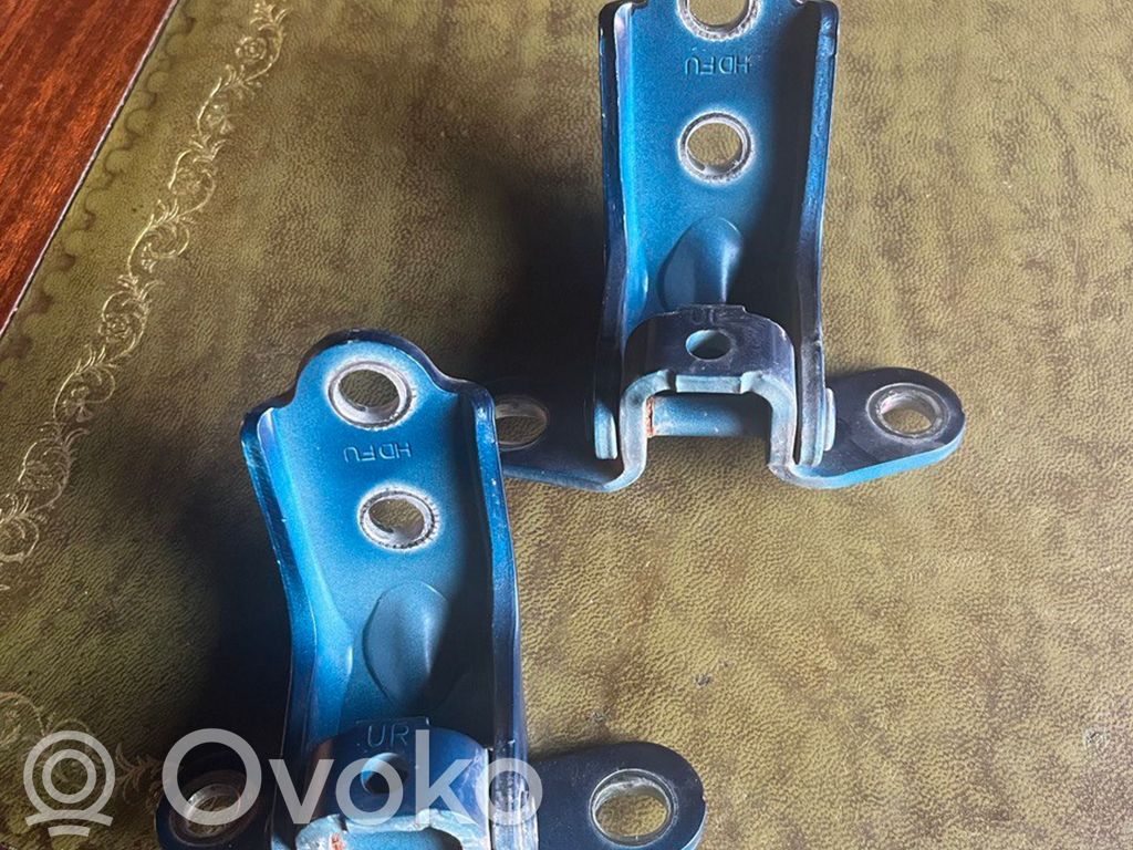 Front door hinge set   120102