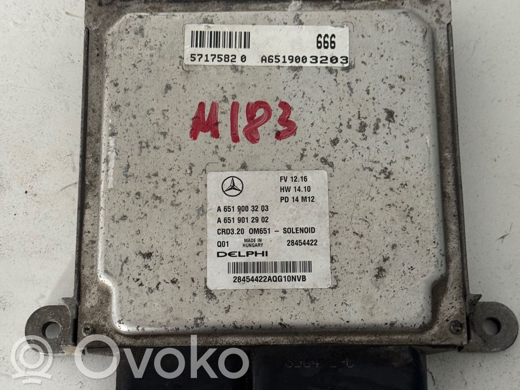 Mercedes-Benz Sprinter W906 Engine control unit/module 
