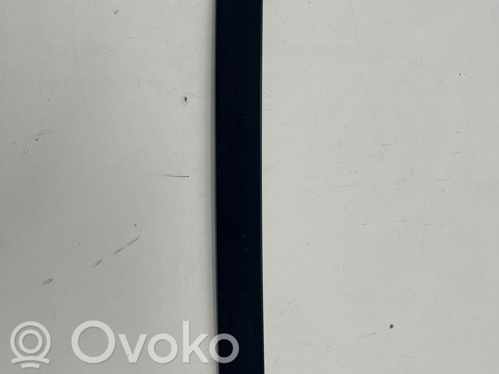 Listwa / Uszczelka szyby drzwi tylnych   19765810,739344205