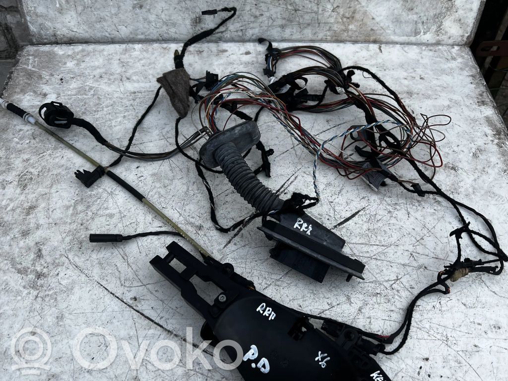 BMW X6 E71 Cablaggio porta anteriore 