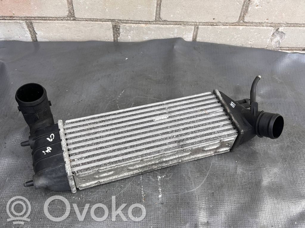 Interkūlerio radiatorius   1489396080,IA1076,870229HF