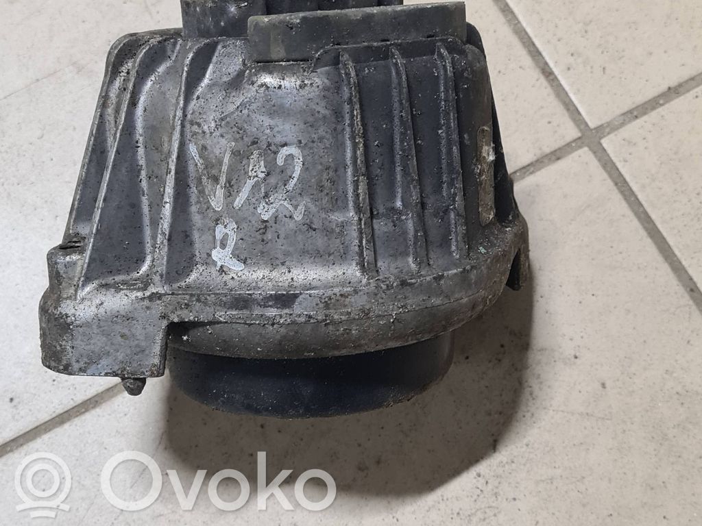 Variklio pagalvė   6768800,22116768800