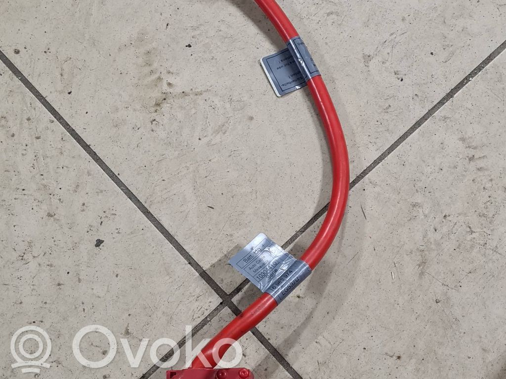 Pluskaapeli (akku)   6988974,10304410